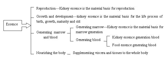 Functions of essence