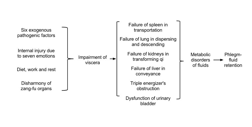 Phlegm and rheum