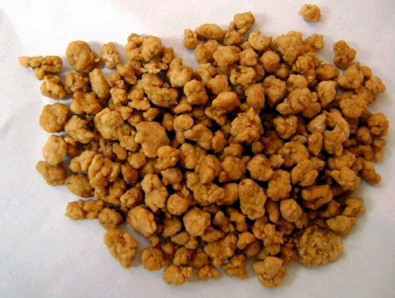 Chinese Asafoetida