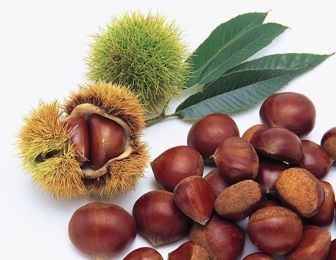 Chestnut