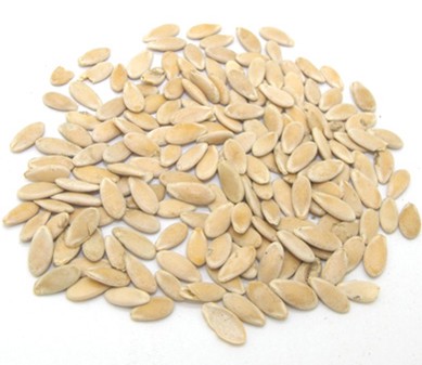 Muskmelon Seed